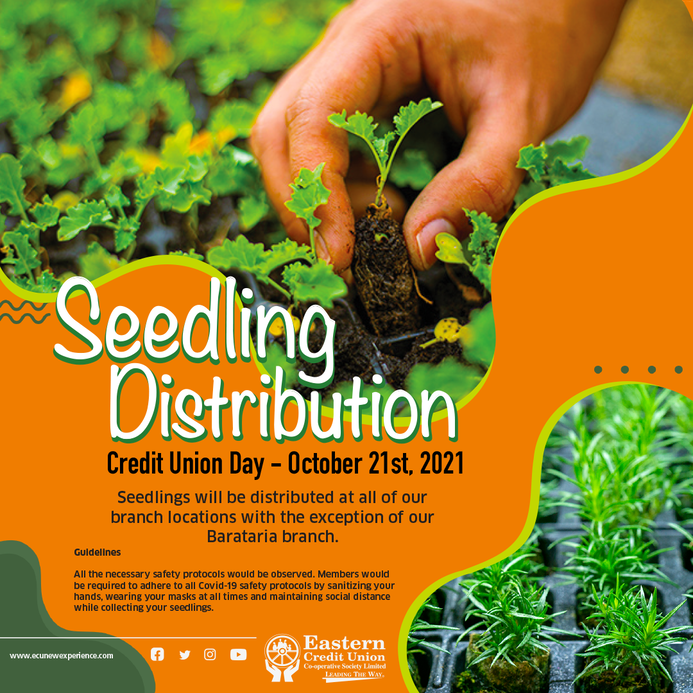 Seedling Distribution