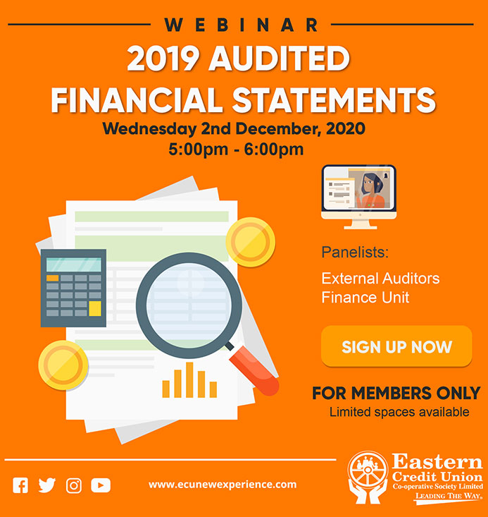 2019 Audited Financial Statements Webinar