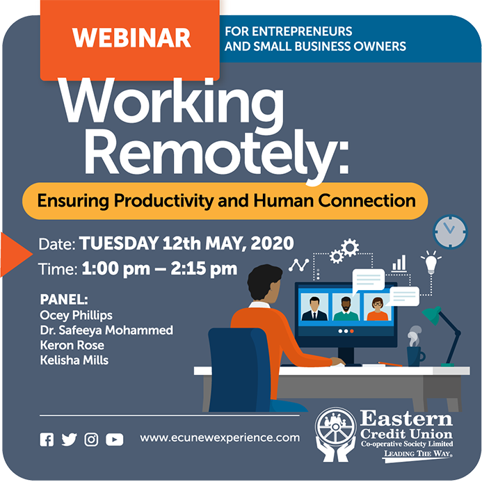 Working Remotely: Ensuring Productivity AND Human Connection Webinar